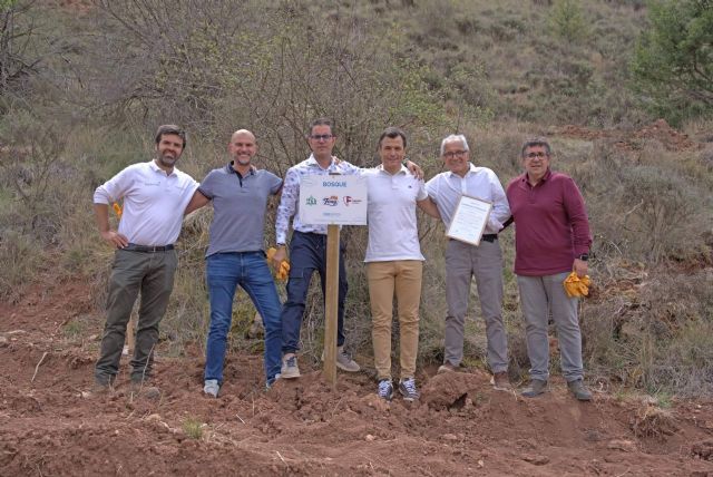 La iniciativa ´Juega tu papel´, más comprometida que nunca en la creación de nuevos bosques - 1, Foto 1