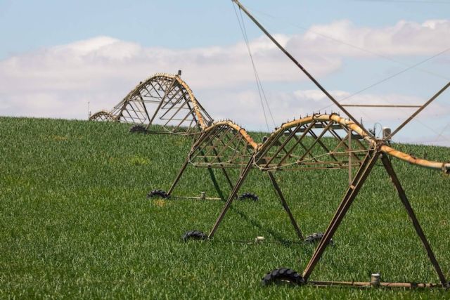 El significado y las características de la agricultura extensiva - 1, Foto 1