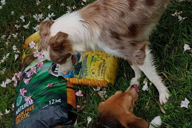 El pienso para perros hipoalergénico de la gama Nature de Satisfaction - 1, Foto 1