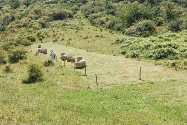 Apícola del Bierzo, la miel de la excelencia - 1, Foto 1