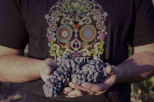 La uva Monastrell, la joya enológica de los vinos de DEMUERTE WINES - 1, Foto 1