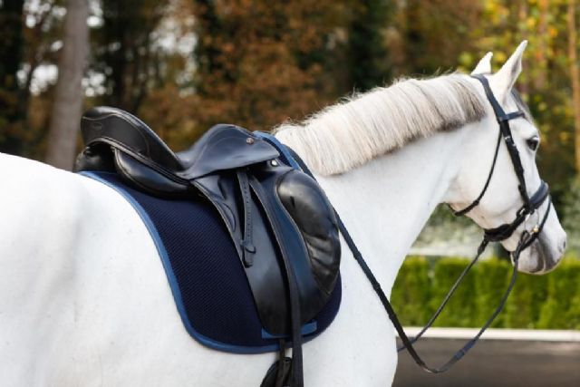 Cal Rei, líder en la creación de mantillas para caballos con tejido técnico, implementa su presencia avanzada con las ayudas del Kit Digital - 1, Foto 1