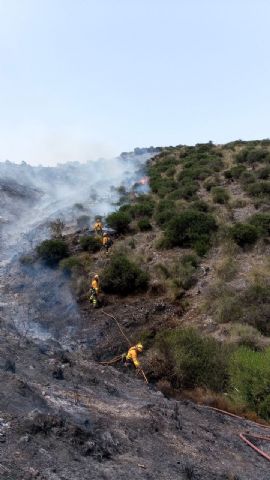 Efectivos del Plan Infomur controlan un incendio forestal en Águilas - 1, Foto 1