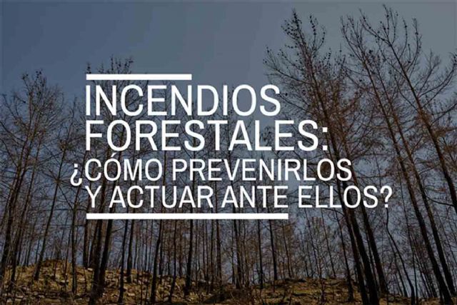 Incendios forestales: ¿cómo prevenirlos y actuar ante ellos? - 1, Foto 1