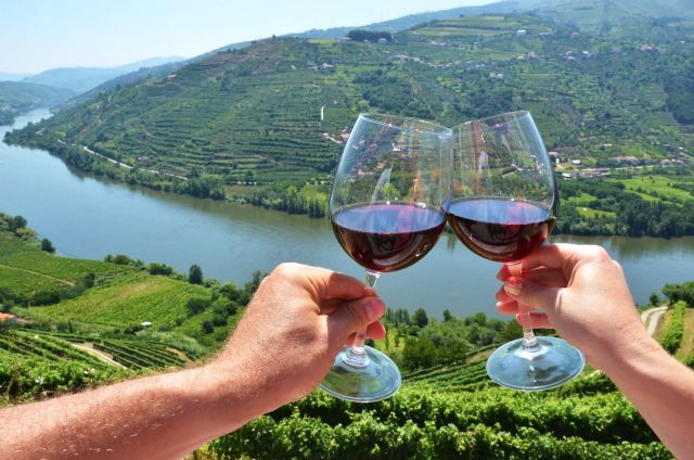 Los vinos tintos del Valle del Duero, una experiencia sensorial que transporta a la esencia de la excelencia enológica - 1, Foto 1