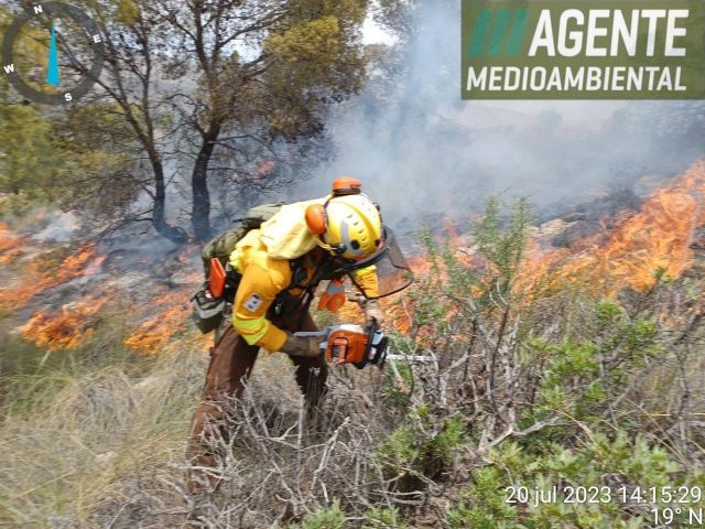 Incendio forestal en la pedanía de Román en Jumilla - 1, Foto 1