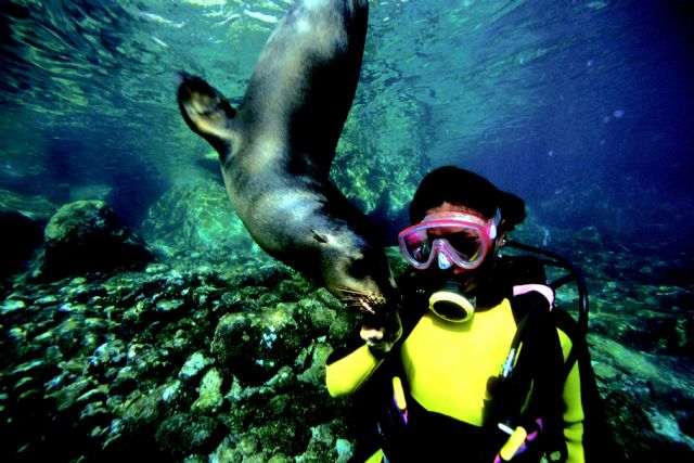 Las actividades acuáticas imperdibles en Los Cabos - 1, Foto 1