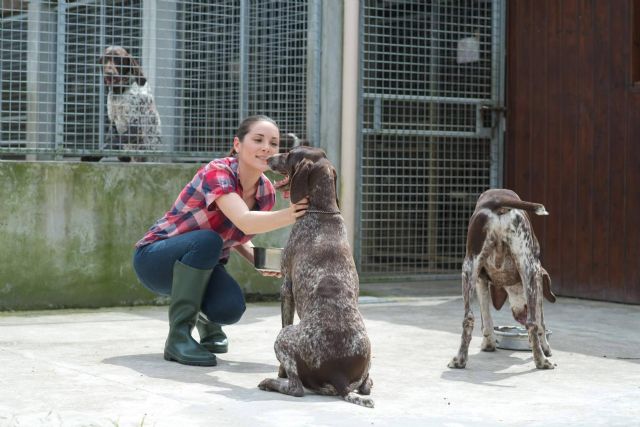 ADOPTA, la plataforma que está modificando las adopciones de perros y gatos en refugios de animales - 1, Foto 1