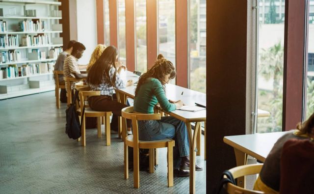 Ayuda Universitaria ofrece servicios de asesoría para estudiantes de Navarra en la elaboración de su TFG - 1, Foto 1