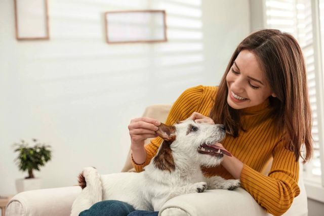 El amor y el adiestramiento son insuficientes para tener el perro que se quiere - 1, Foto 1