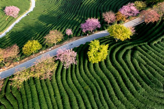 EcoAct identifica un riesgo de ingresos del 10% para los sectores intensivos en carbono en 2030 - 1, Foto 1