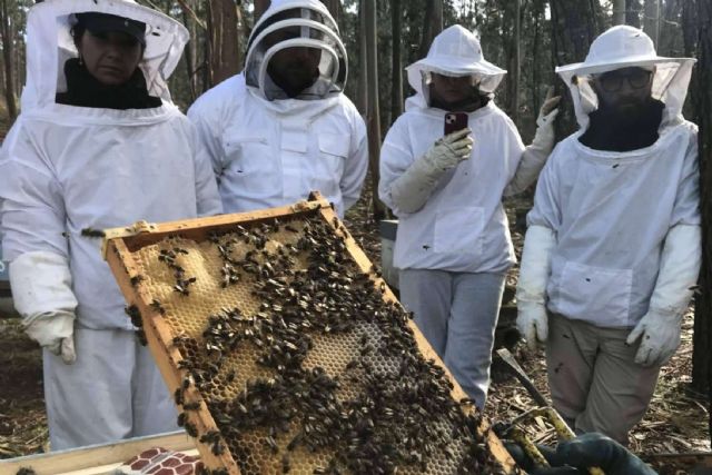 ¿En qué consiste la polinización de las abejas?, con Cursos Apicultura - 1, Foto 1