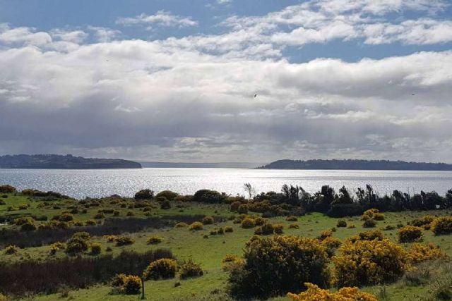 Latitudes Australes, una empresa de referencia en la venta de proyectos de parcelas en el sur de Chile - 1, Foto 1