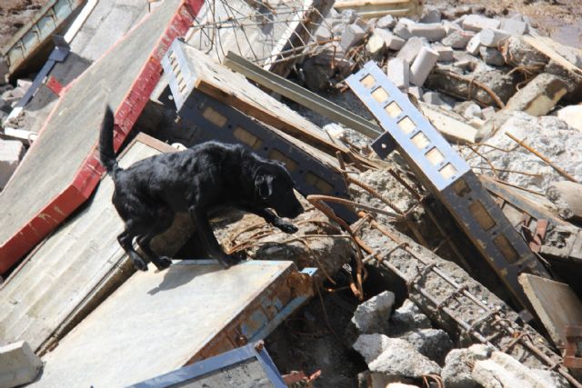 Método Arcón: el medio más eficaz que existe en búsqueda y detección para salvamento - 1, Foto 1