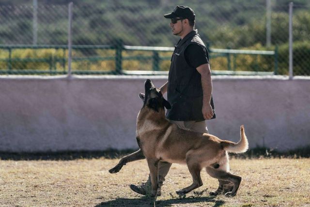 Curso de Adiestrador Canino Profesional, con la escuela de adiestramiento Monte Ida - 1, Foto 1