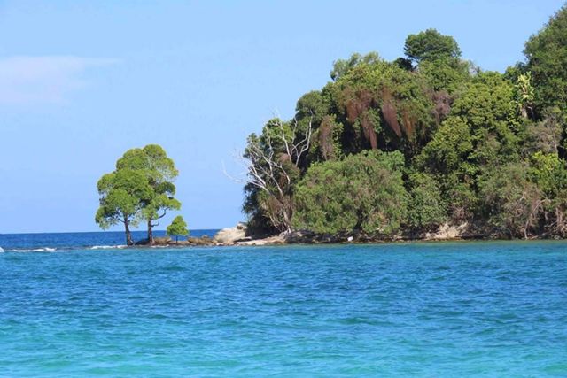 Borneo en otoño, descubriendo el encanto de Sabah; ventajas de una escapada en esta temporada - 1, Foto 1