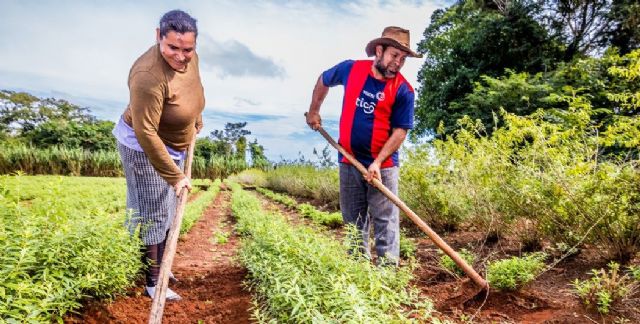 Oikocredit contribuye al significativo crecimiento de los créditos destinados desde España a proyectos transformadores - 1, Foto 1