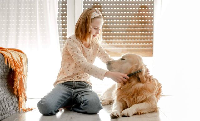 Variedad de comida para perros con Era Pet Food para una dieta sana y equilibrada - 1, Foto 1