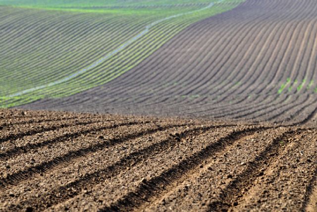 Planas asegura que la Política Agraria Común garantiza una renta digna a los productores y no es un fondo de compensación territorial - 1, Foto 1