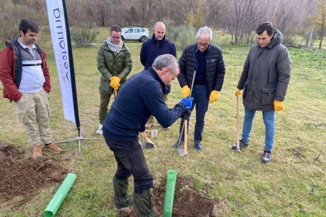 Nuevo bosque en Torremocha de Jarama; Foxy y Fundación Alcoraz - 1, Foto 1