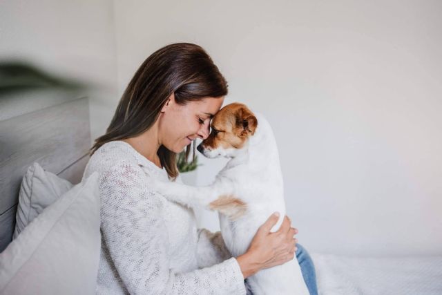 Las claves para garantizar una Navidad feliz a los peludos, por El Perro Feliz - 1, Foto 1