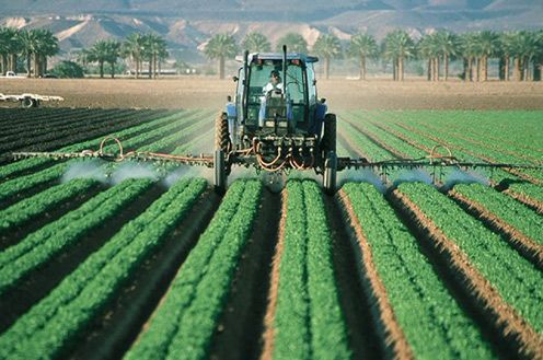 Agricultura, Pesca y Alimentación convoca las subvenciones para la formación de profesionales del mundo rural para 2024 - 1, Foto 1