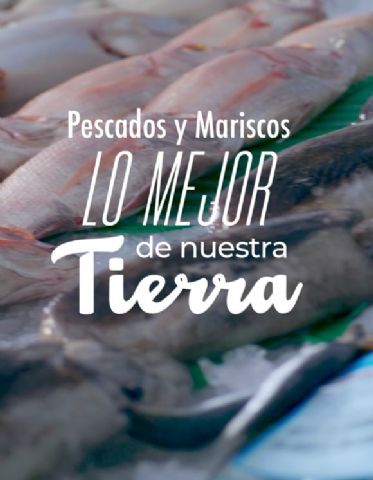 ‘Lo mejor de nuestra tierra’, nueva campaña de Pesca España para promover el consumo de productos del mar entre los más jóvenes - 1, Foto 1