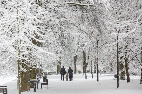 Lithuania Travel: planes especiales para disfrutar al máximo el invierno en Lituania - 1, Foto 1