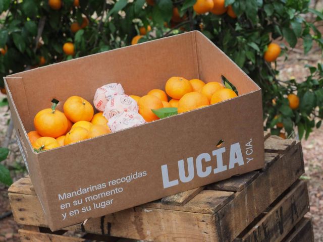 Un proyecto que redefine la forma de experimentar las mandarinas, Lucía y Cía - 1, Foto 1