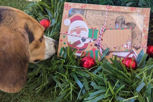 NaturWild ofrece el regalo de navidad perfecto para un perro - 1, Foto 1