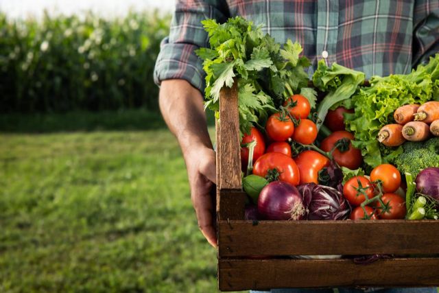 ¿Por qué crece de forma constante la venta online de productos ecológicos y sostenibles? - 1, Foto 1