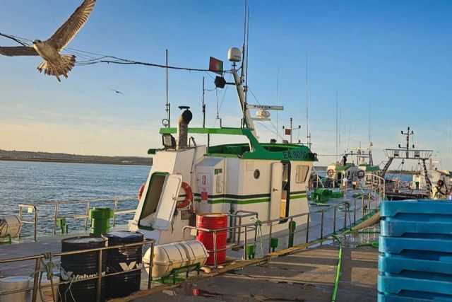 Lonja de Ayamonte vende pescado y marisco fresco en España - 1, Foto 1