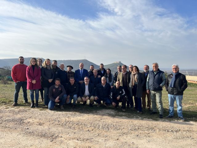 El matadero público ´Carnes de Jadraque´ ya cuenta con una línea industrial para el sacrificio de bovino - 1, Foto 1