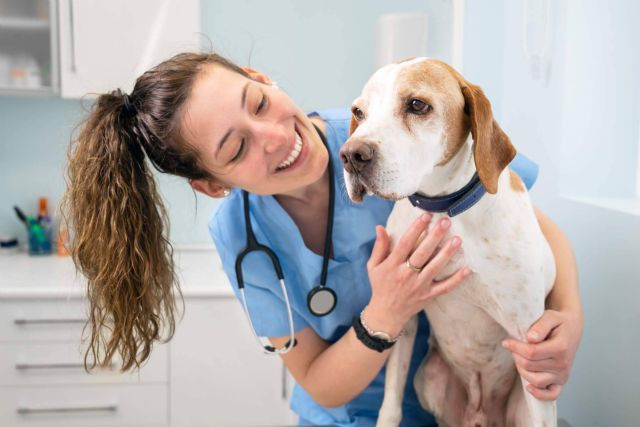 Descubrir cómo se puede transformar una clínica veterinaria en un referente del sector - 1, Foto 1