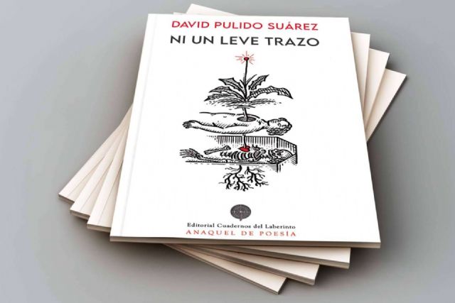 Novedad editorial. ‘Ni un leve trazo’, los poemas del canario David Pulido reciben el aplauso unánime de los lectores - 1, Foto 1