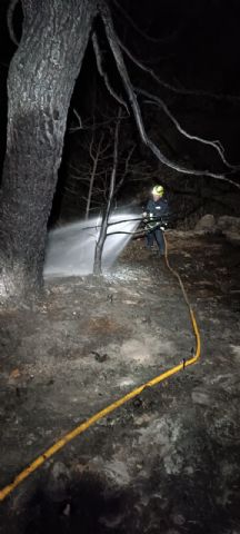 Incendio en Zarzadilla de Totana, Lorca - 1, Foto 1