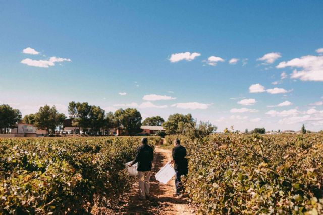 Bodegas Vegalfaro, una de las bodegas de vino de España de producción ecológica, presenta el vino como forma de vida - 1, Foto 1