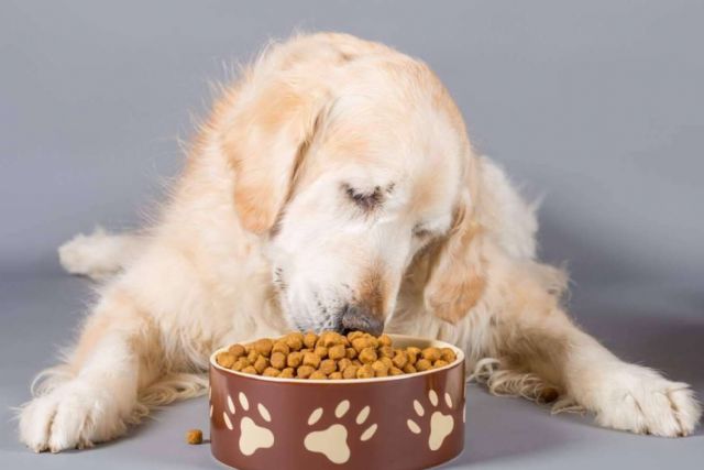 Proporcionar al compañero peludo una nutrición sobresaliente con el pienso para perros adultos de Era Pet Food - 1, Foto 1