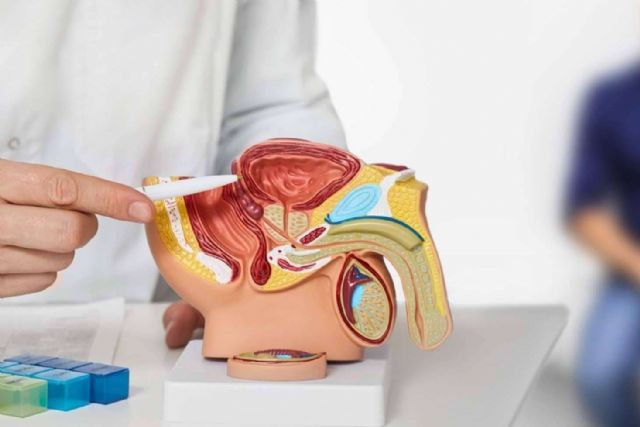 MiRNAX Biosens y el Hospital Puerta de Hierro han desarrollado un sistema para el diagnóstico de cáncer de próstata - 1, Foto 1