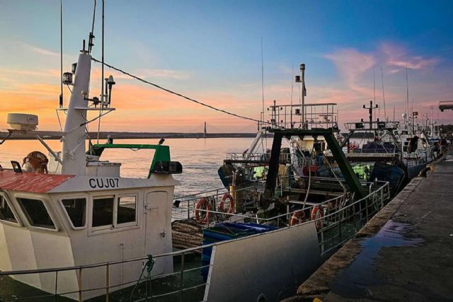 Distribución de pescado y marisco fresco a toda España con el servicio de Lonja de Ayamonte - 1, Foto 1