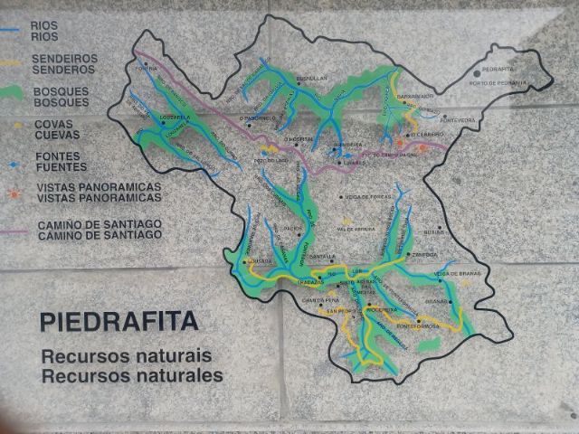 La Xunta de Galicia declara Iniciativa Empresarial Prioritaria al Proyecto de Gestión Forestal Sostenible de Talentya Digital Global Solutions en Pedrafita do Cebreiro, Lugo - 1, Foto 1