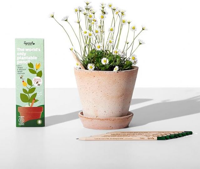 Regalos de San Valentin: SproutWorld propone un regalo romántico renovando su edición de amor para San Valentin: lápices que se convierten en flores de amor - 1, Foto 1