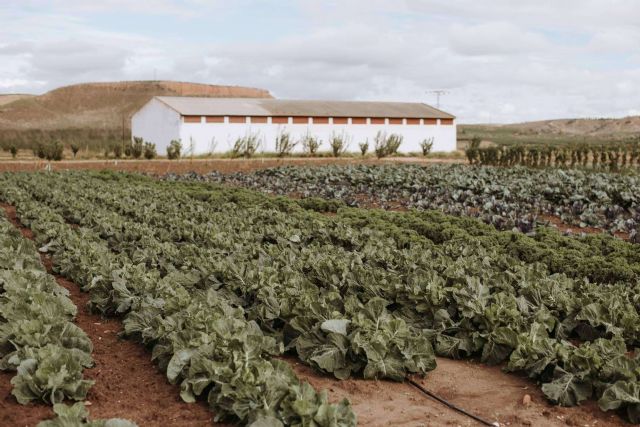 La Huerta de Hualdo; agricooltura sostenible y ecológica - 1, Foto 1