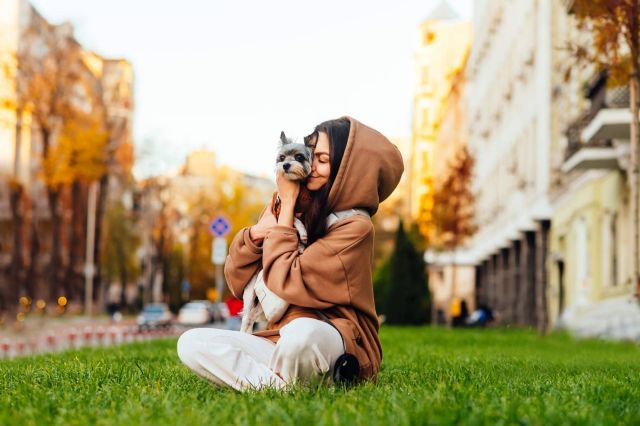 Descubrir las increíbles becas de El Perro Feliz y emprender el camino a la felicidad - 1, Foto 1