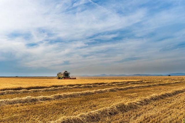 Más de 139.000 agricultores recibirán una ayuda extraordinaria del Estado por un importe total de casi 269 millones de euros - 1, Foto 1