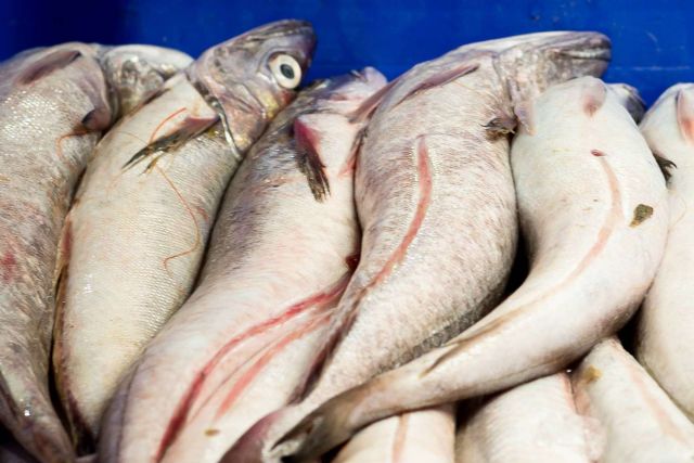 Los expertos de Lonja de Ayamonte entregan mariscos o pescado fresco en menos de 24 horas - 1, Foto 1