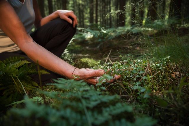 Baños de Bosque Madrid, una herramienta eficiente de salud y bienestar en el trabajo - 1, Foto 1