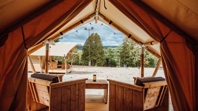 Branch Out Glamping rompe barreras: alcanza una inversión de más de 600.000€ en tiempo récord con Sego Venture - 1, Foto 1