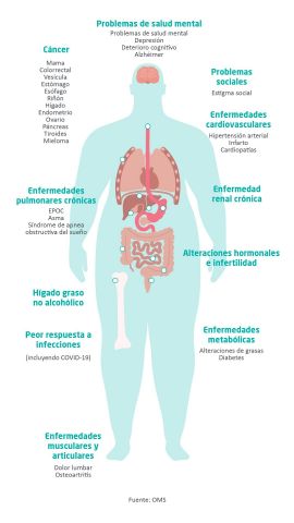 La obesidad está muy relacionada con la infertilidad, Dr. José María Vítores - 1, Foto 1