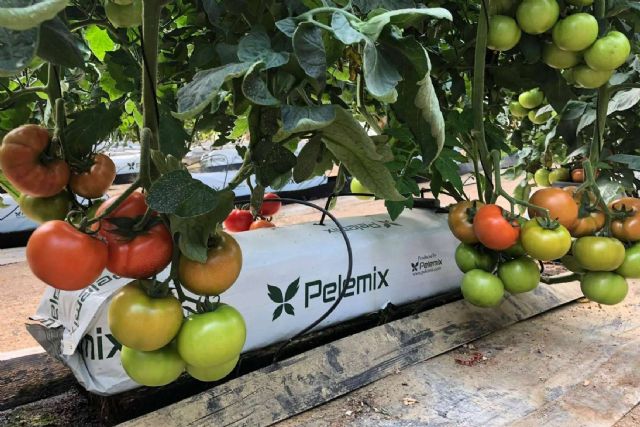 Agricultura sostenible de la mano de Pelemix; cultivos hidropónicos para luchar contra la sequía y el medioambiente - 1, Foto 1